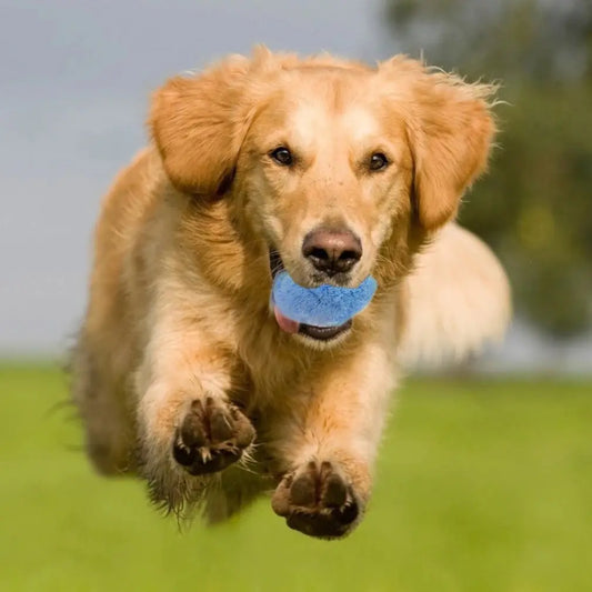 Electric Plush Ball for Pets